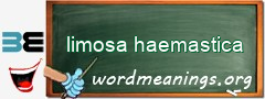 WordMeaning blackboard for limosa haemastica